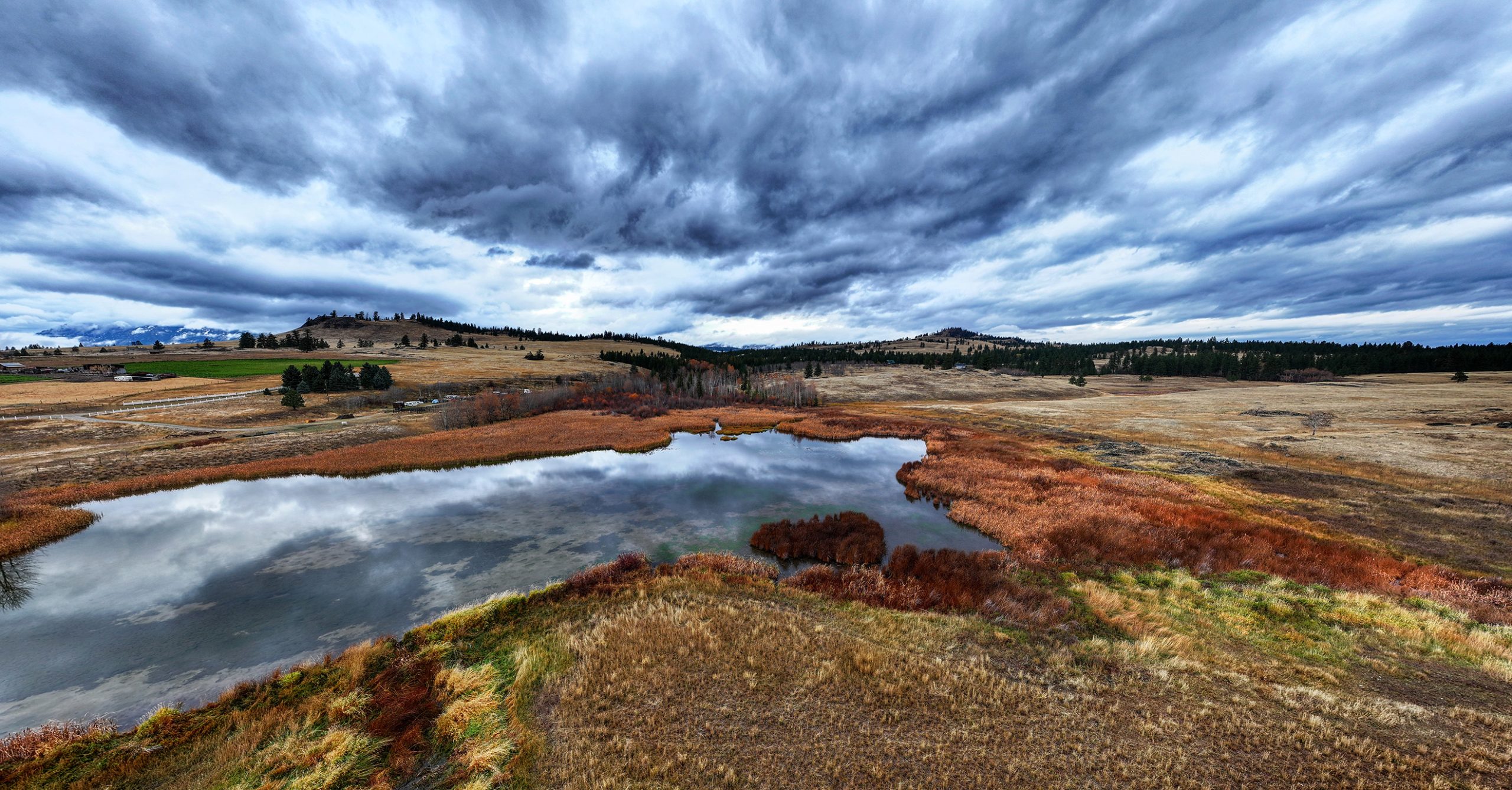 Nature Trust of British Columbia LowerWolf